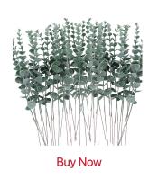 5/10pcs Hojas De Ciprés Para Decoración De Navidad Y Bodas Artesanías Y Flores Decorativas Plantas Artificiales De Prensa PP - details 3