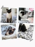 Manta De Mascota Suave Y Gruesa Con Patrón De Dibujos Animados Cómoda Y Cálida Para Gatos Y Perros Toalla De Baño Para Gatos - details 3