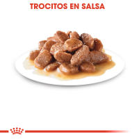 12 X85g - Royal Canin Sobre Húmedo Sterilised in Gravy (Salsa) para Gatos - details 3