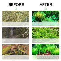 Generador De CO2 Para Acuario 1L 2L Sistema De Generador De Cilindro CO2 Inyección De Agua En Acero Inoxidable Con Medidor De Burbujas Para Plantas Acuáticas - details 5