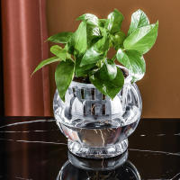 Maceta Autoabastecida Transparente De Plástico Para Plantas Y Acuarios Decoración Moderna Para Sala De Estar Y Oficina - details 11