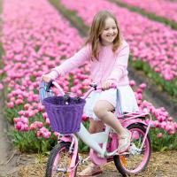 Cesta para Bicicleta para niños de 12 a 16 años, accesorios para Bicicletas para niños y niños - details 2