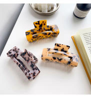 Grabador De Lujo Para Mujer Con Estampado De Leopardo Pinza Para El Cabello Retro Accesorio De Cabello De Alta Gama Clip De Mampa - details 1