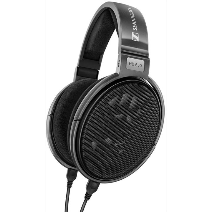 Sennheiser HD 650 auriculares negro, gris