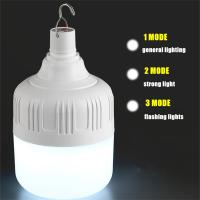 Lámpara LED Portátil Para Camping Recargable Por USB Impermeable De 20W 40W 80W 100W Bombilla De Emergencia Linterna LED - details 7