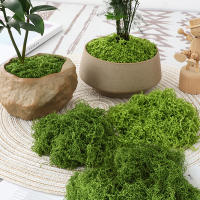 1PC DIY Hierba Artificial Verde Fresca Moss Para Jardín Terrariums Decoración De Centros De Mesa De Boda Micro Paisaje De Leno - details 9