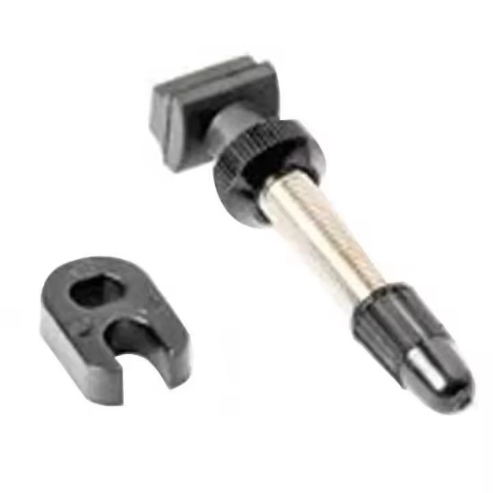 Dt Swiss Válvula Tubeless Mtb Presta - 1