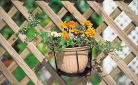 NQT Macetero Colgante para Soportar Macetas para Balcones, barandilla y jardineria - details 3
