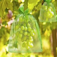 Malla De Protección Para Frutas Y Verduras 30Pcs Juego De Bolsas De Cultivo De Plantas Con Red Antipájaros Para Jardín Agricultura Tamaño 10x15CM 20x30CM Colores Blanco Verde Fruta Oscuro Verde - details 8