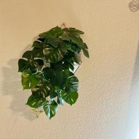 1pc Hoja De Tortuga Artificial Para Colgar En Macetas O Vajilla Decoración De Casa Y Regalos Planta Verde Artificial De Poliéster Para Exposición Y Aniversarios - details 5