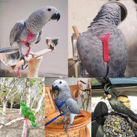 Correa Ajustable Para Pájaros De Nylon Duradero Y Conveniente Con Arnes Fácil De Usar Para Periquitos Herramienta De Jardín - details 3