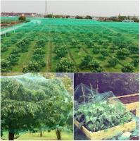 Malla Antipájaros Red Protección para Campos 10m X 4m - details 4