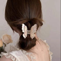 Pinza De Mariposa Dual Gradiente Para Mujer Accesorio De Cabello Coreano Dulce Y Elegante Pinza De Mordaza De Cocodrilo Para Niñas - details 1