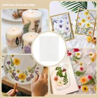 24 Hojas De Papel De Absorbente Para Prensa De Flores 14.92x11.42 Pulgadas Papel De Filtro Reutilizable Para Herbario - details 5