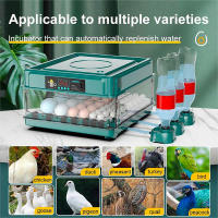 Incubadora Automática Mini con Volteo de Huevos Control de Temperatura y Riego HidroIónico Caja Extraíble Capacidad para 10 15 Huevos de Gallina Incuba Patos Gansos Palomas Codornices Voltaje Dual 12V/220V Incubadora Inteligente - details 3