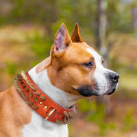 Collar De Cuero Genuino Para Perros Grandes Con Espinas Y Estrellas Fuerte Ajustable Para Pitbull Bulldog Boxer Resistente Todas Las Estaciones Tamaños L/XL Colores Rojo/Marrón/Negro - details 13