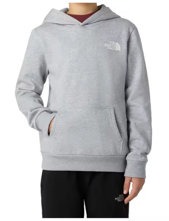 Sudadera TNF YT Teen Simple Dome Hoodie Gris - 1