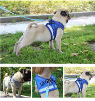 Juego De Arnes De Malla Para Perros Pequeños Y Gatos Accesorios De Entrenamiento Transpirables Para Bulldog Pug Cachorro Correa Respirable De Vínculo - details 1