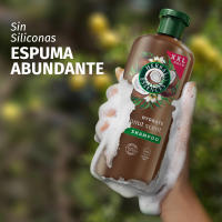 Herbal Essences | Champú Hidratante Aroma a Coco Para Pelo Muy Seco. Ayuda A Hidratar Intensamente, Cabello Suave. De Origen Natural. Sin Siliconas, Vegano, No Testado En Animales 6x680ml - details 2