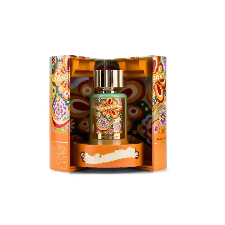 Paris Corner Indomitable 100ml EDP – Strong & Masculine Fragrance for unisex, Long-Lasting Woody Scent - 1
