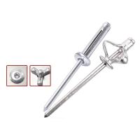 50pcs Tornillos De Aluminio Con Gran Rosca Cabeza Ciega Pull Plata Decoración Tornillo De Púa Fijaciones De Hardware 3.2mm 4.0mm 4.8mm - details 4