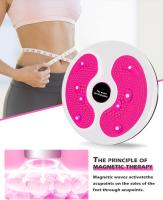 Giratory Disc para La Giro, Giratory Disc para advazar La Giro, multiculonal tabla giratoria para ejercicio con - details 3