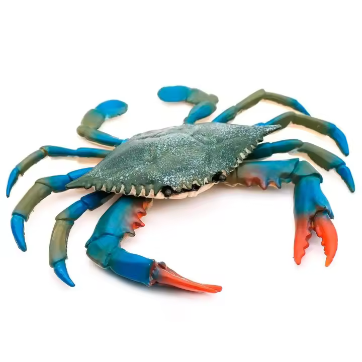 Juguetes de baño de plástico con forma de cangrejo para el mar, figuras de animales marinos oceánicos educativos y científicos realistas, juguetes de criaturas, regalo para cumpleaños, 9,6 x 8 cm - 1