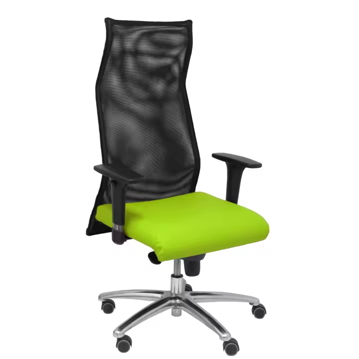 Piqueras Y Crespo Sillón de Dirección Ergonómico Verde Pistacho Regulable en Altura - 1