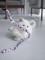 Juguete Interactivo Para Gatos Varita Telescopio Con Pluma Y Caterpillar Colorido Divertido Accesorio Para Mascotas Material Suave PP Y Veludo - details 10