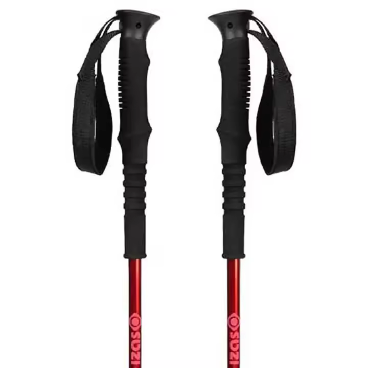 Material senderismo Bastones Izas Bastones Anso Negro Unisex - 1