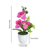 Orquídea Artificial Falsa Phalaenopsis En Maceta Para Interiores Y Exteriores Decoración De Oficina Hogar Bodas Y Eventos - details 1