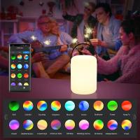 Lámpara De Ambiente LED RGB Portátil Control Remoto Tuya APP Impermeable Para Camping Y Decoración De Fiestas Colorido Y Dimmable - details 3