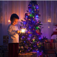 Cadena De Luces LED Para Jardín Y Decoración Navideña 24V Impermeable De 10M 20M 30M 50M 100M Para Fiesta De Año Nuevo Y Navidad - details 6