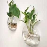 Vaso De Hierro Hidroponía Transparente Para Acuarios Pequeños En Pared Con Plantas Y Peces Juego De Decoración Para El Hogar - details 7
