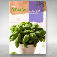 Semillas Albahaca Profesional - Sobre 4 GR (Sobre Grande) - Albahaca muy sabrosa y con mucho aroma - Rocalba Semillas - details 0