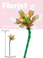 Bouquet De Rosas Eternas En Bloques Micro Para Decoración De Escritorio Juguete De Puzzle Para Niños Entre 6 Y 12 Años Material ABS - details 6