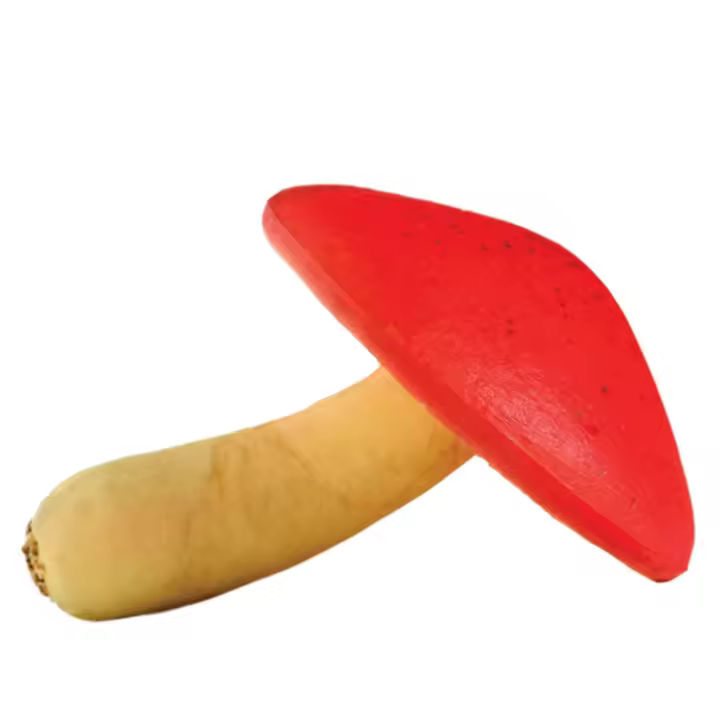 SETA - 1