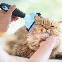 Melo Gatos para perros y, para quitar el pelo de mascotas De short Hair, Melo para quitar El Melo, Pelo para Perros, Peine para quitar los redos, y ancho Mediana - details 2