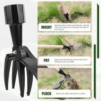 Herramienta de extracción de malezas de pie, Aleación de Aluminio Stand Up Weed Puller Weeding Head Tool - details 3