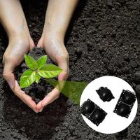 Kit de 20 unidades de enraizamiento reutilizable para plantas: caja de bolas de cultivo de alta presión. Equipo de cultivo. - details 2