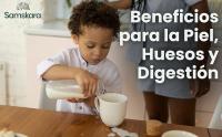LECHE DE ARROZ EN POLVO  Orgánica BIO  Baja en grasas + Vitamina B + Calcio + Salud digestiva + Salud del corazón y los huesos  Samskara  (500g x 1 pack) - details 0