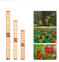 Luz De Cultivo LED 250W Espectro Completo 100-277V Placa Cuántica Para Plantas Invernadero Jaula De Suculentas Frutas Iluminación - details 8