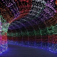 Luces De Navidad LED 10/20M Cadena De Luces De Hadas Para Decoración De Fiesta De Boda Y Año Nuevo EU Enchufe Exterior - details 9