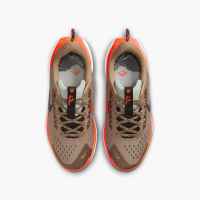 Zapatilla Nike Trail  Pegasus junior  5 Fv5638 200 Beig - details 3