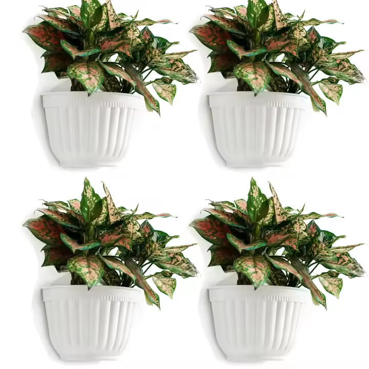 Paquete de 4 macetas verticales de Resina para Colgar en la comparación, para Jardín, Sala de estar, Ventana, plantas, Flores, Hierbas, balcón, barandilla, estante, Valla, decoración de enrejado. - 1