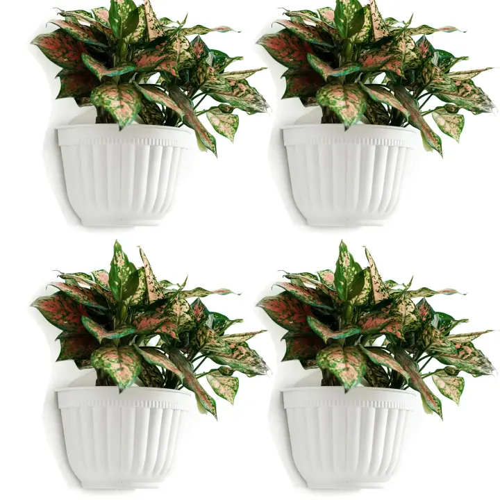 Paquete de 4 macetas verticales de Resina para Colgar en la comparación, para Jardín, Sala de estar, Ventana, plantas, Flores, Hierbas, balcón, barandilla, estante, Valla, decoración de enrejado. - 1