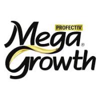 CasaSofia- Mega Growth No-Lye Relaxer Kit Regular 1 Application, MEGA CRECIMIENTO ANTI-DAMAGE RELAXER Regular 1 APLICACIÓN DE RETOQUE, Alisador. sin marca - details 1