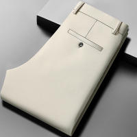 Pantalones Casuales Para Hombre Verano 29-42 Mallas Elásticas Suaves Y Frescas Sin Hierro Estilo Recto Ligeros Para El Día - details 68