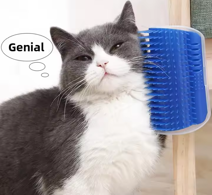 Juguete De Masaje Y Aseo Para Gatos Con Nepenthe Pared Esquina Rascador Y Cepillo Suave Herramienta De Masaje Y Rascado Para Perros Y Gatos Pequeños - 1