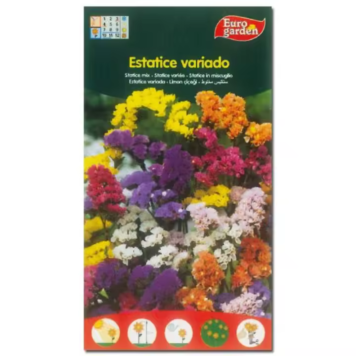 Semillas fito flores estatice variada 00630 (caja 10 unidades) - 1